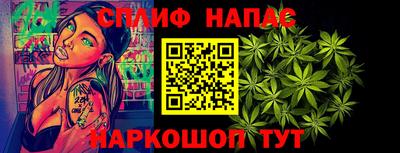 гидропоника Будённовск